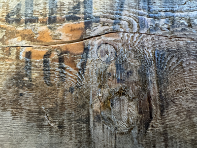 FOOT POWDER 1 3/4 oz. C. (E) LTD.